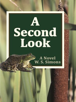 cover image of A SECOND LOOK